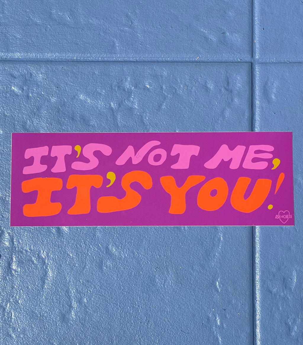 It's Not Me, It's You Bumper Sticker